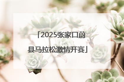 2025张家口蔚县马拉松激情开赛