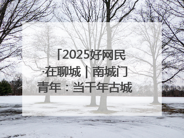 2025好网民·在聊城｜南城门青年：当千年古城遇见青春歌谣 一湖碧水见证的“聊城式浪漫”