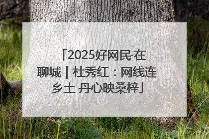 2025好网民·在聊城｜杜秀红：网线连乡土 丹心映桑梓