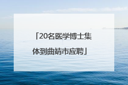 20名医学博士集体到曲靖市应聘