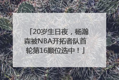 20岁生日夜，杨瀚森被NBA开拓者队首轮第16顺位选中！