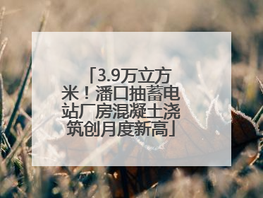 3.9万立方米！潘口抽蓄电站厂房混凝土浇筑创月度新高