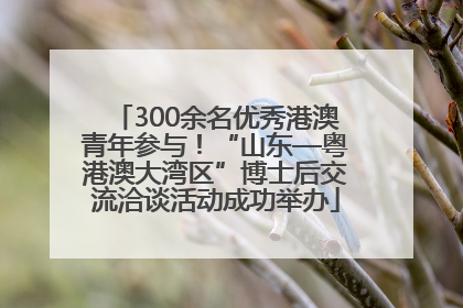 300余名优秀港澳青年参与！“山东—粤港澳大湾区”博士后交流洽谈活动成功举办