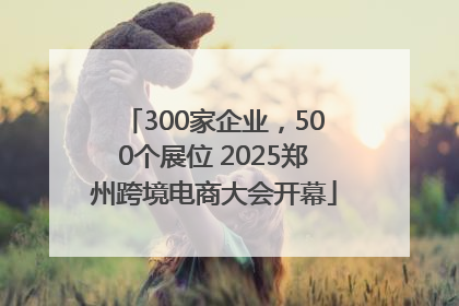 300家企业，500个展位 2025郑州跨境电商大会开幕