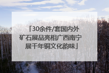 30余件/套国内外矿石展品亮相广西南宁 展千年铜文化韵味