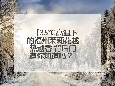 35℃高温下的福州茉莉花越热越香 背后门道你知道吗？