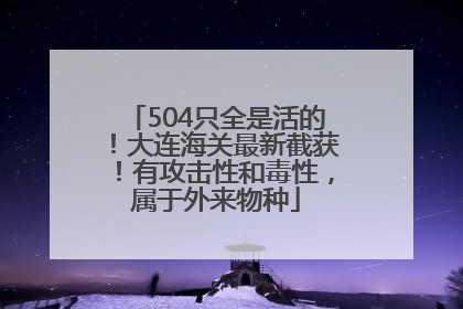 504只全是活的！大连海关最新截获！有攻击性和毒性，属于外来物种