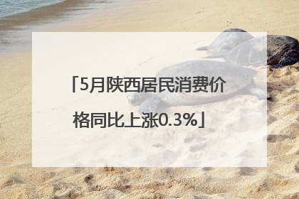 5月陕西居民消费价格同比上涨0.3%