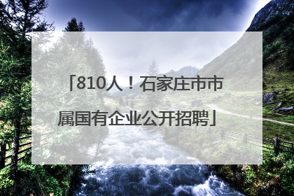 810人！石家庄市市属国有企业公开招聘