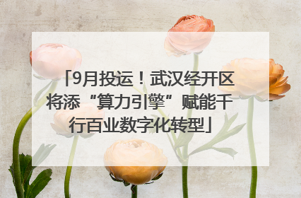 9月投运！武汉经开区将添“算力引擎”赋能千行百业数字化转型
