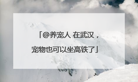 @养宠人 在武汉，宠物也可以坐高铁了