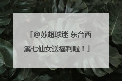 @苏超球迷 东台西溪七仙女送福利啦！