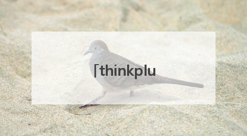 thinkplus锋行者与超薄磁吸充电宝：企业级移动电源解决方案